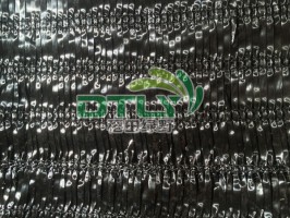 人參黄色麻豆免费看片